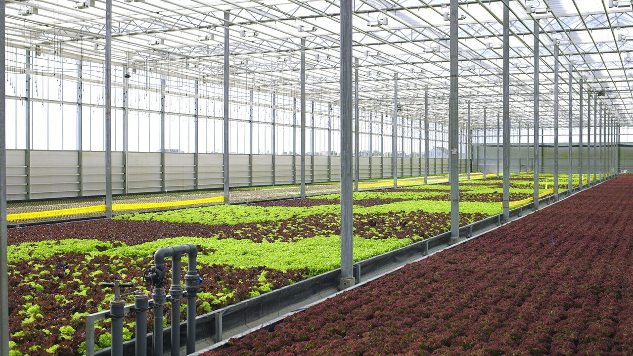 greenhouse-small-2 Greenhouse Small